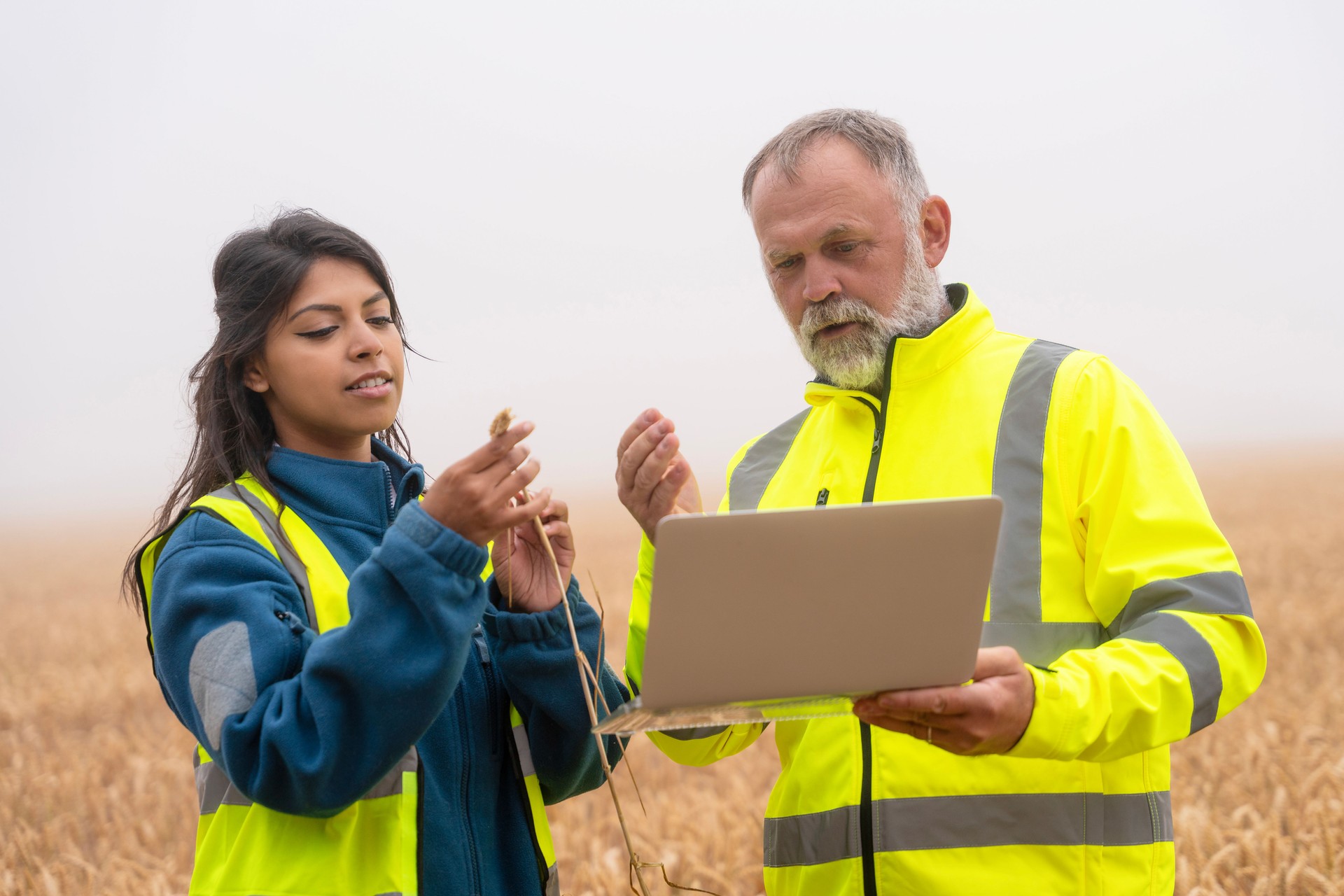 Farmer and agronomist in the foggy farmfield discussing crop growth data