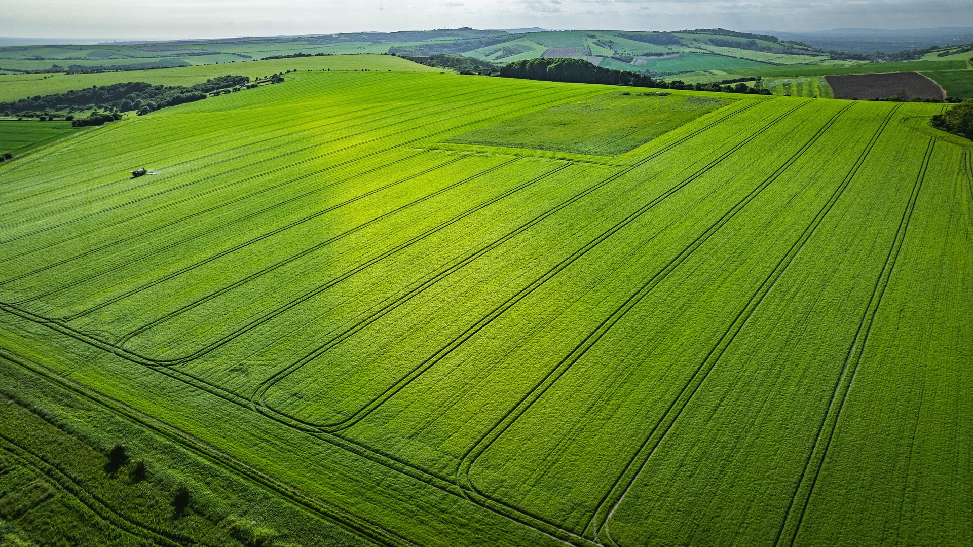 Tractor sprays fertilizer and water on a green fields of East Sussex, UK