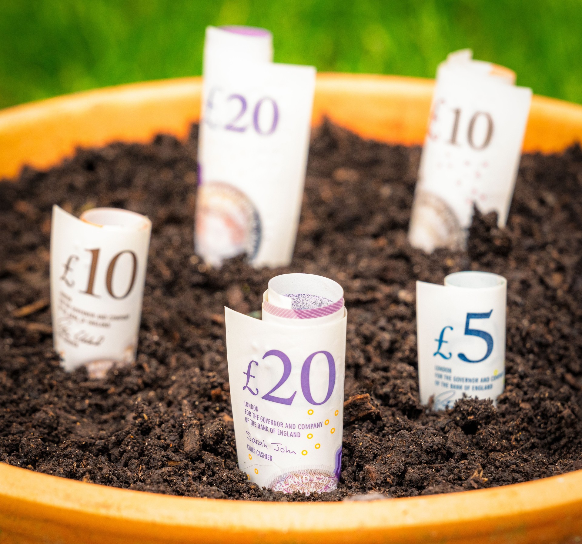 Organic money growth - Cultivating captal