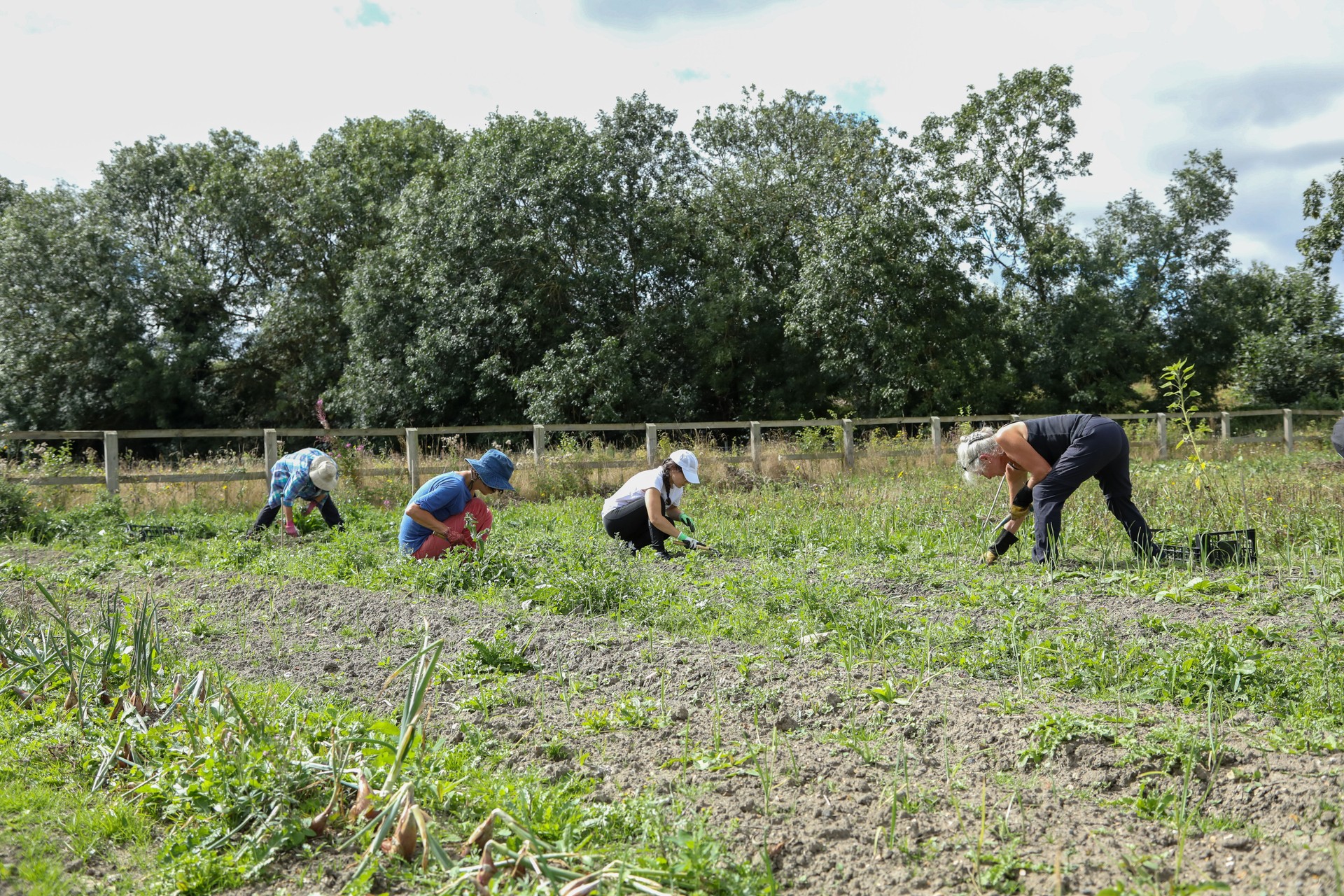 Group of women work together in field on community farm