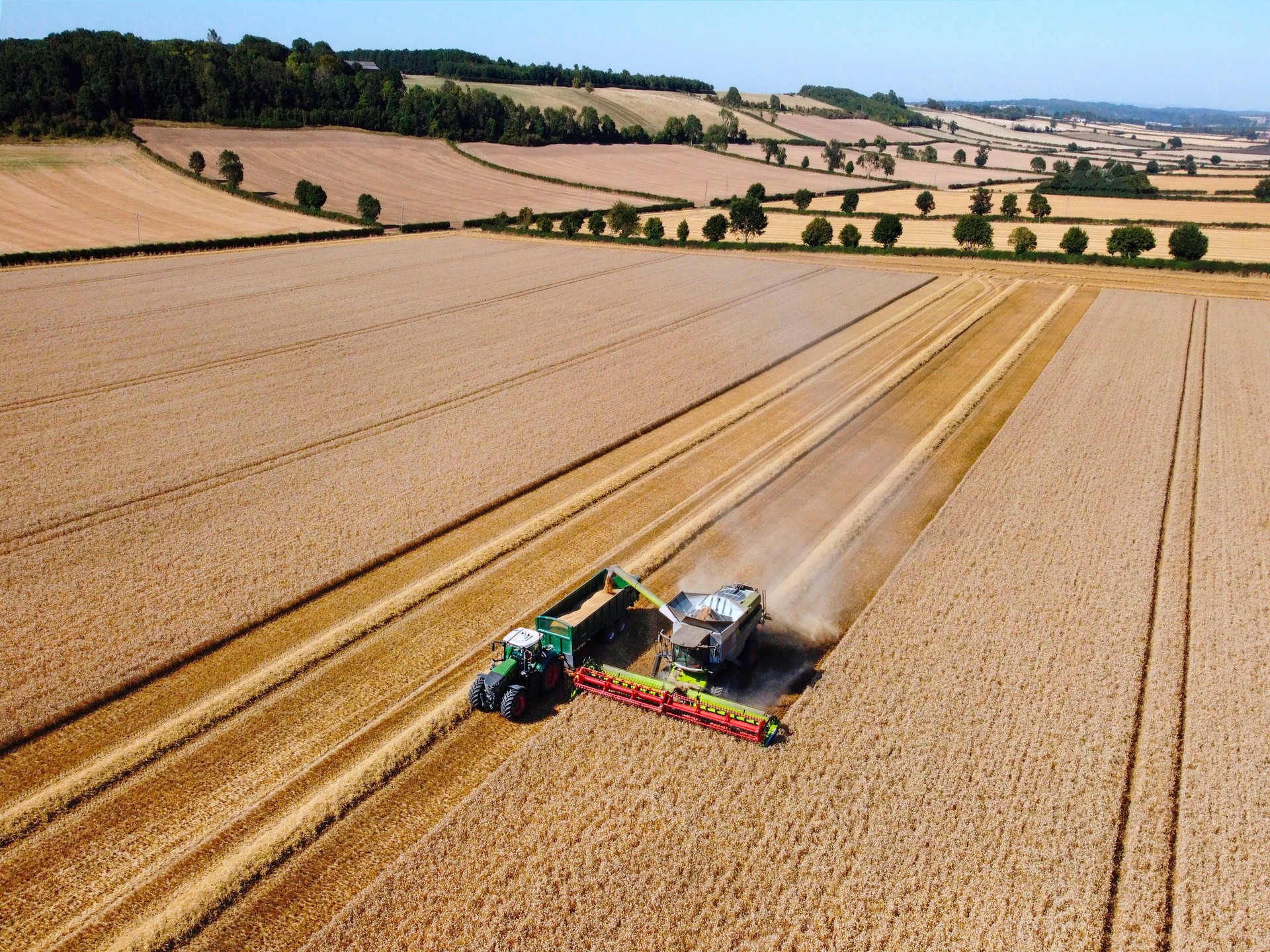 Aerial View - Harvest Time